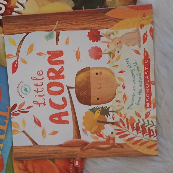 Scholastic Fall Themed Children's Book Collection - Picture 5 of 7